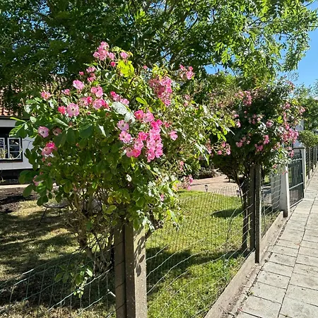 Apartamento Het Relax Hoeveke *