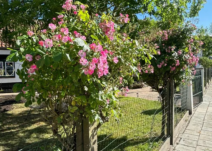 Apartman Het Relax Hoeveke *